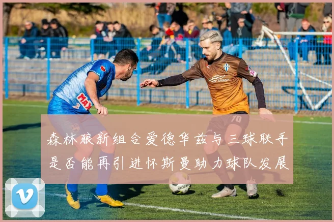 森林狼新组合爱德华兹与三球联手是否能再引进怀斯曼助力球队发展